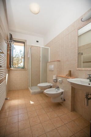 Shower, free toiletries, hair dryer, bidet