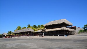 A beachside building with thatched roofs and a palm tree in front. - Hotel Suyapa Beach (León)