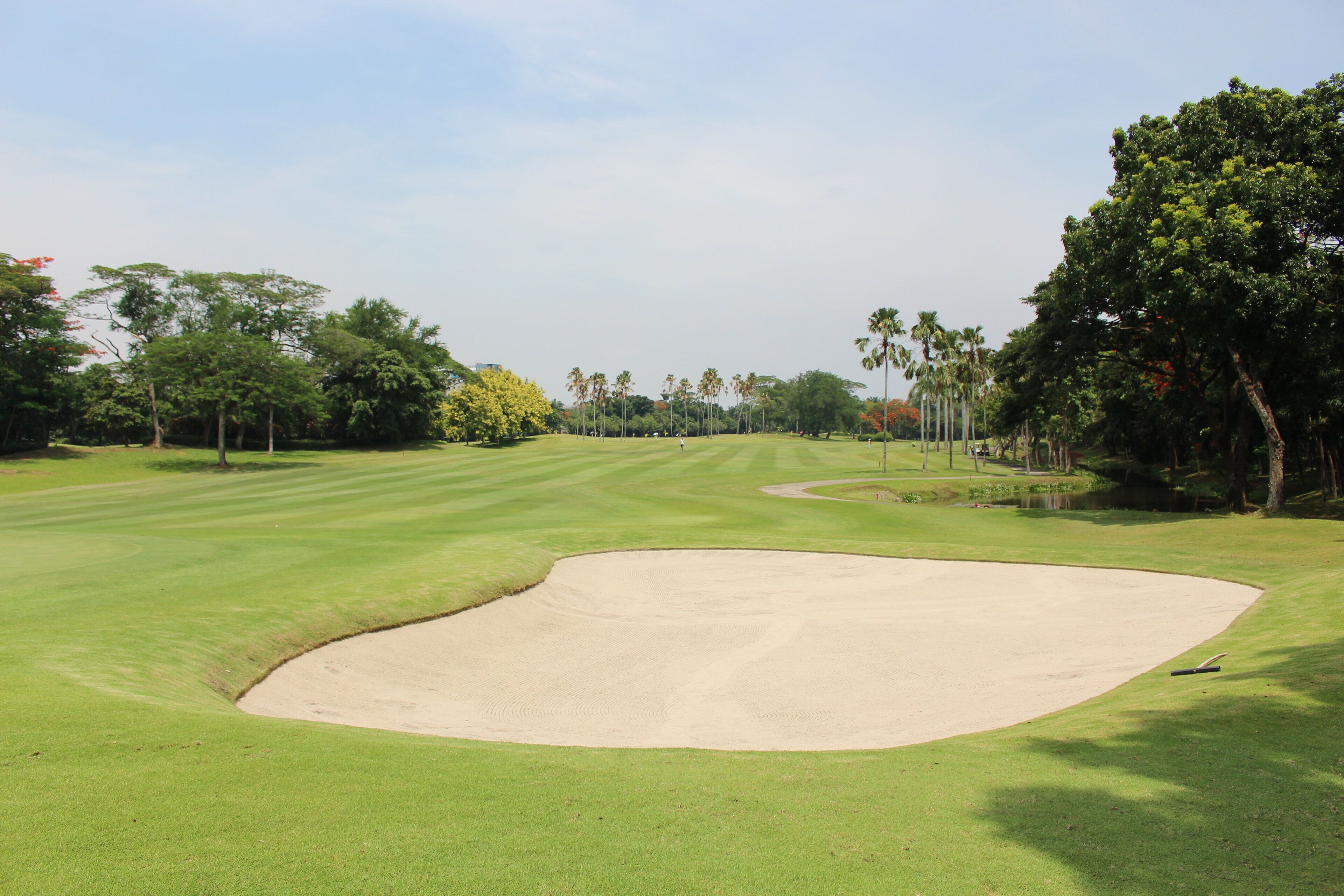 Un campo de golf con un bunker de arena, césped impecable y árboles al fondo.