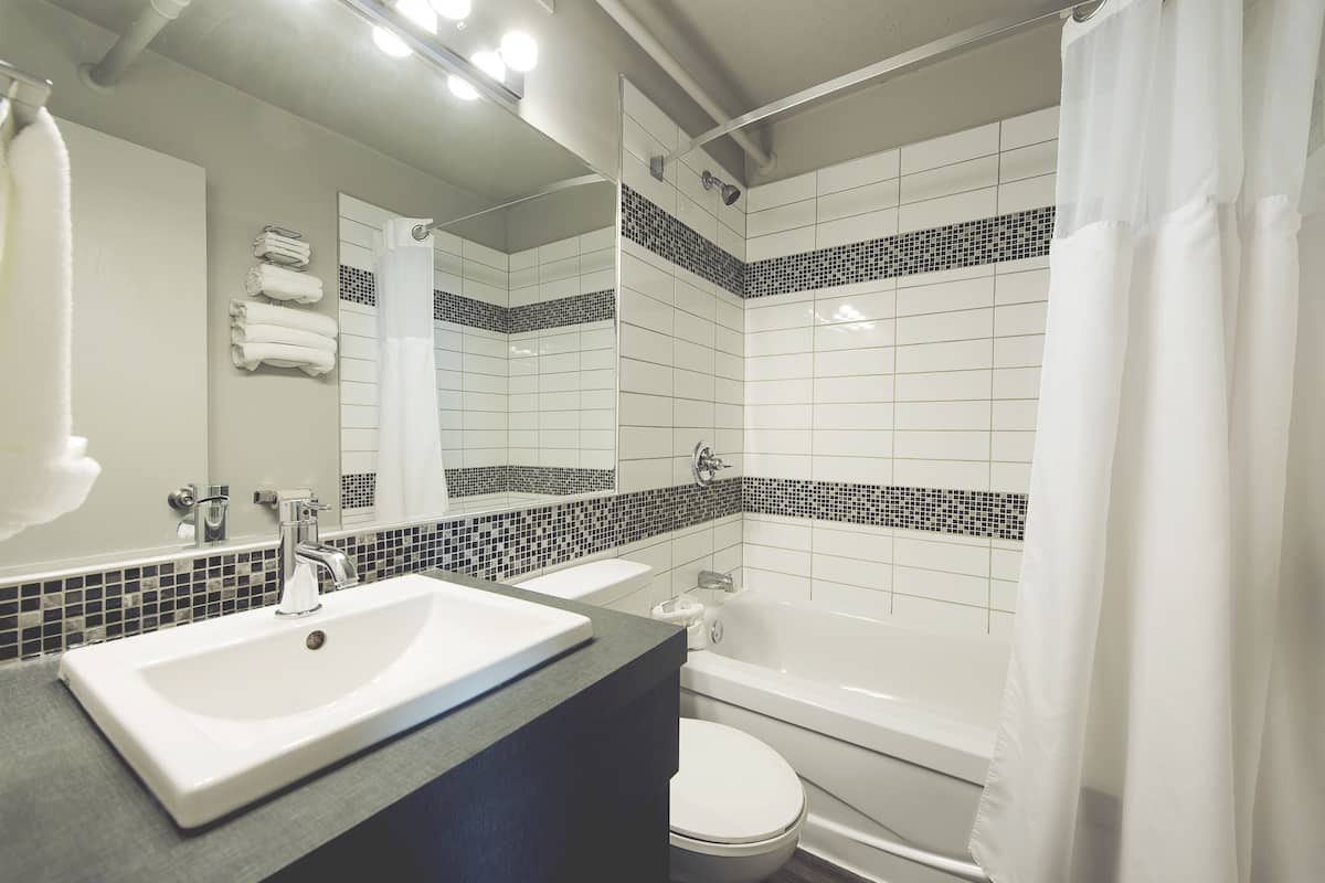 combined shower/bathtub, free toiletries, hair dryer, towels