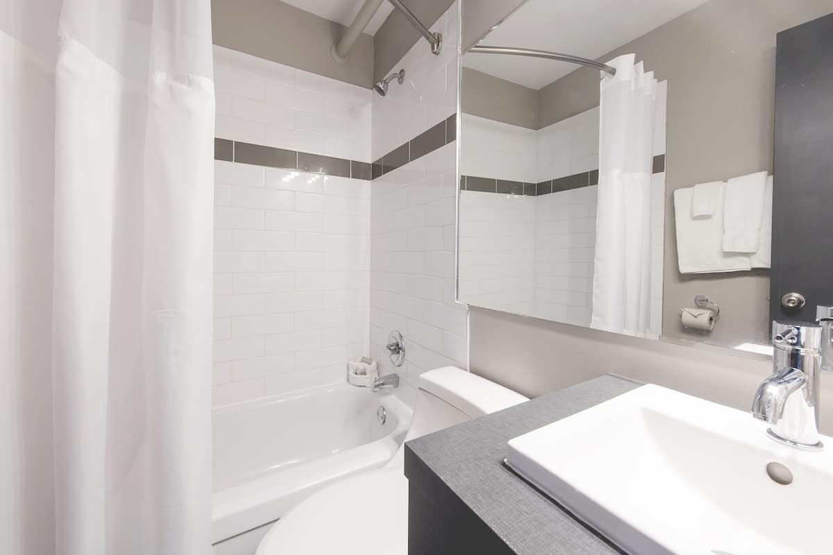 combined shower/bathtub, free toiletries, hair dryer, towels