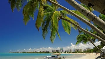Uma praia com palmeiras, um barco e o horizonte de uma cidade ao fundo.