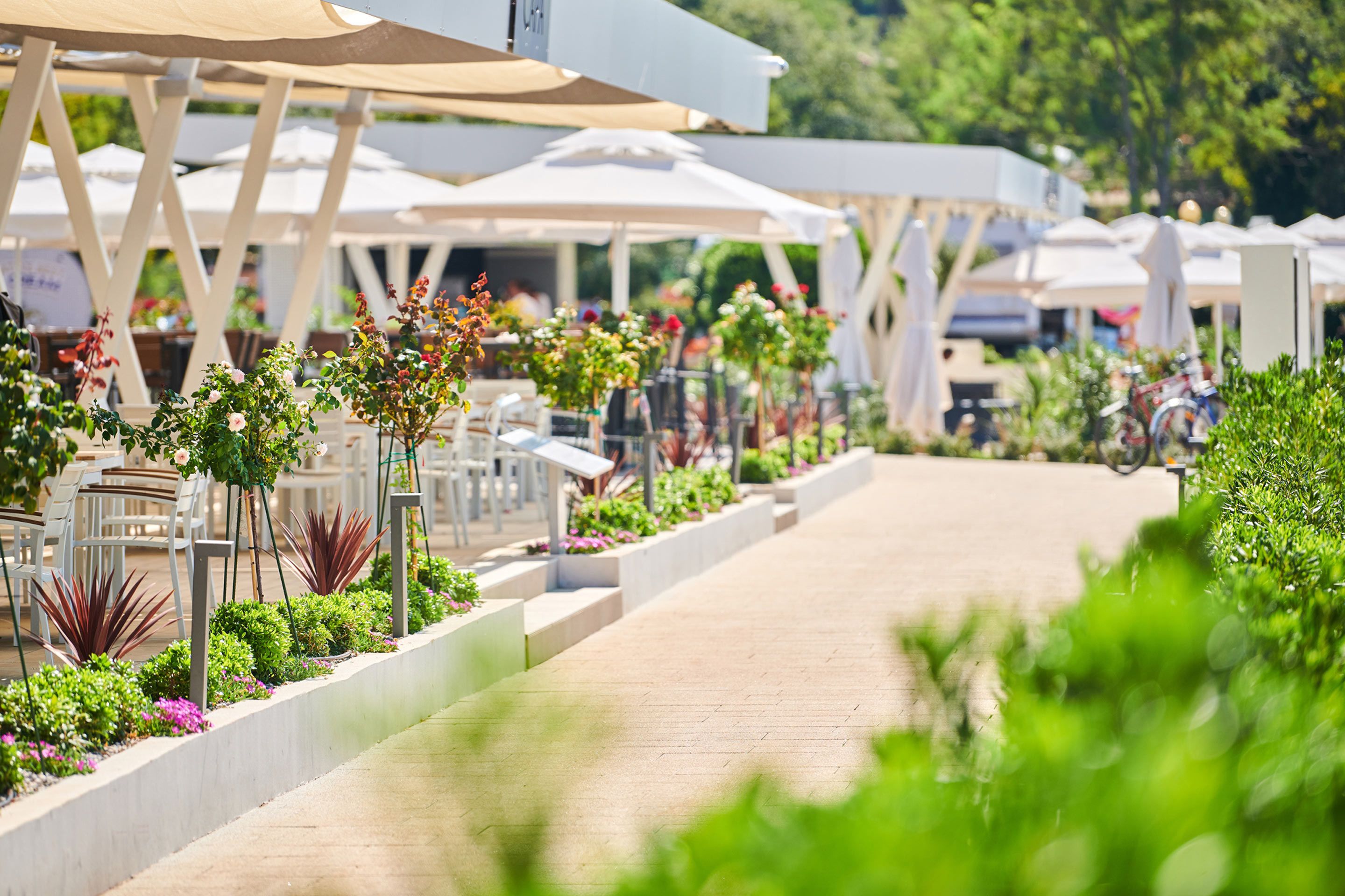 A pathway lined with white umbrellas and tables, surrounded by lush greenery and plants.