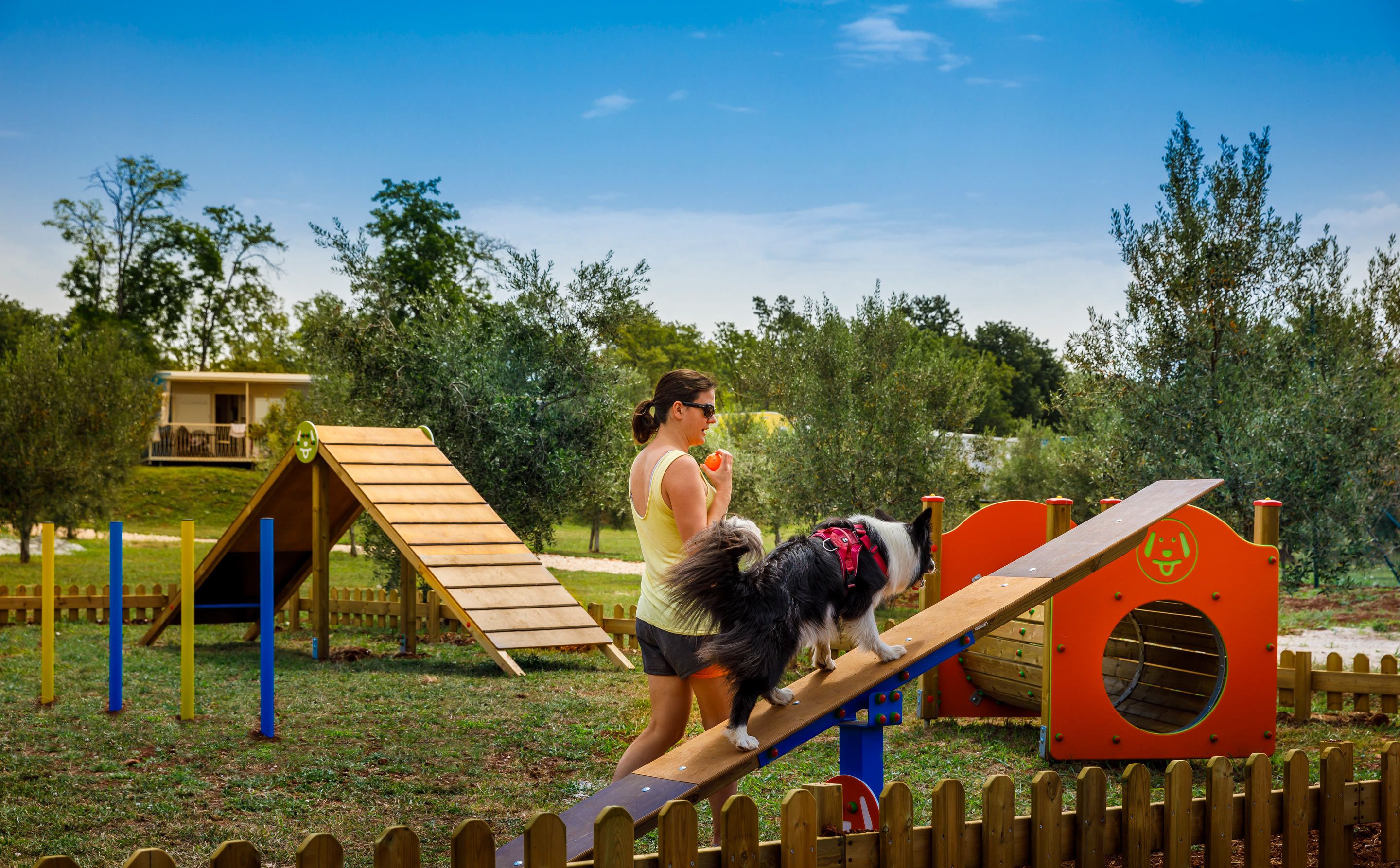 A playground with a seesaw, a slide, and a climbing structure.