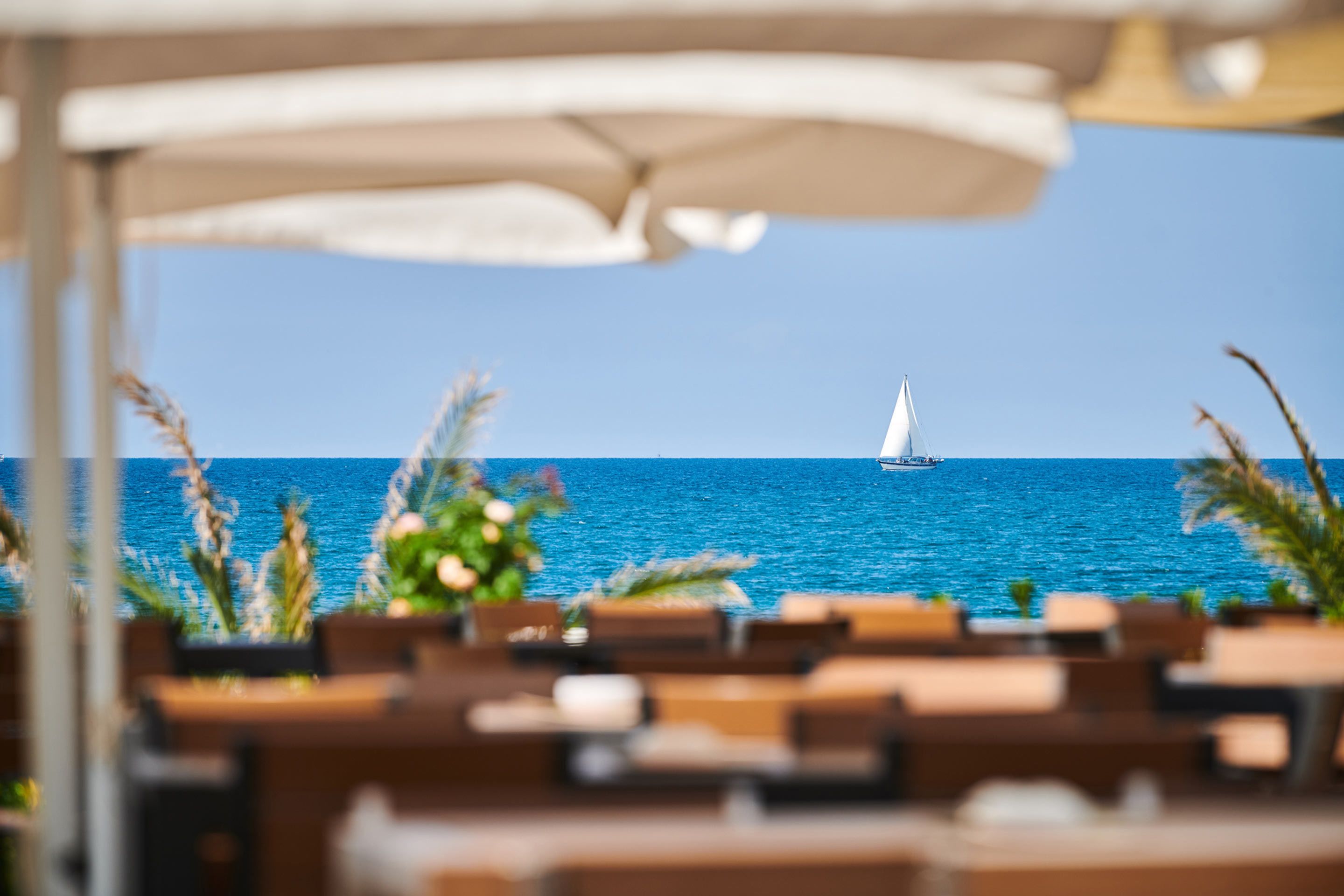 A seaside view with a sailboat on the water, wooden lounge chairs, and a white umbrella.