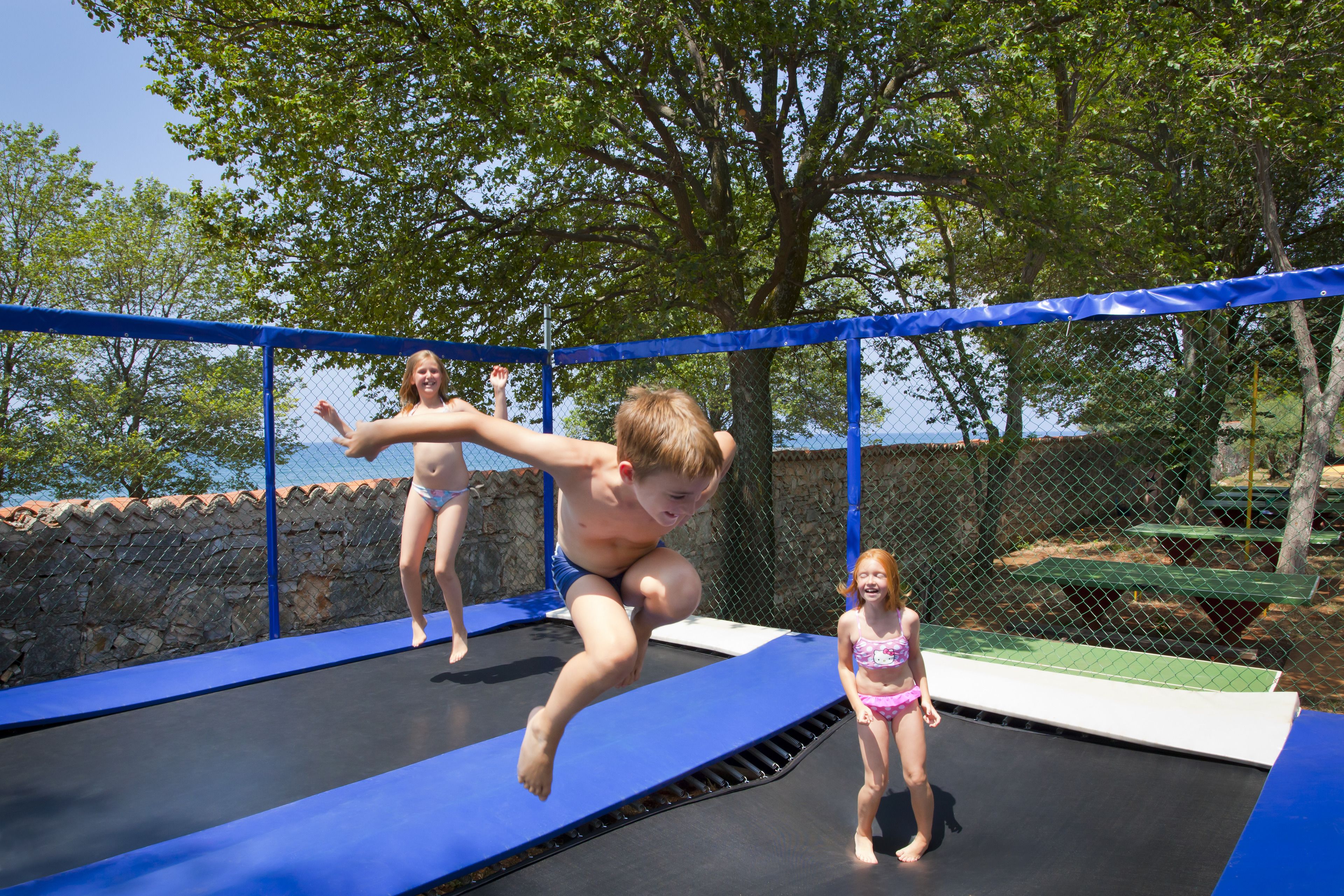 Un trampoline doté d’un filet de protection bleu, entouré d’un mur de pierres et d’arbres.