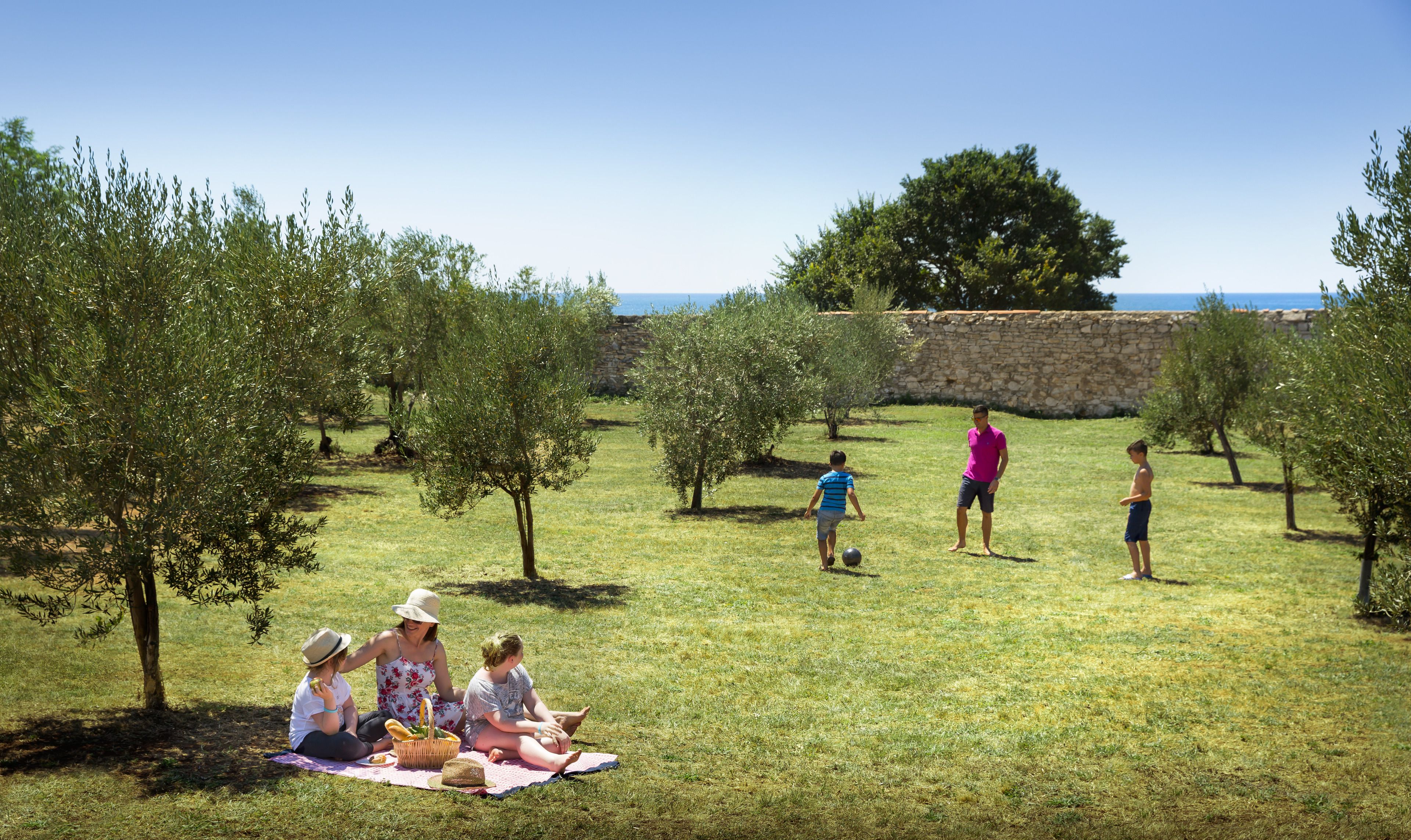 A family picnicking on a grassy area with olive trees and a stone wall in the background.