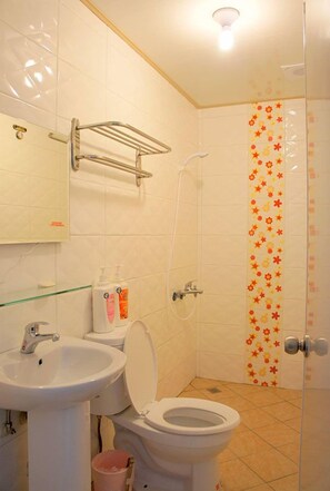 Classic Double Room | Bathroom | Shower, free toiletries, hair dryer, slippers