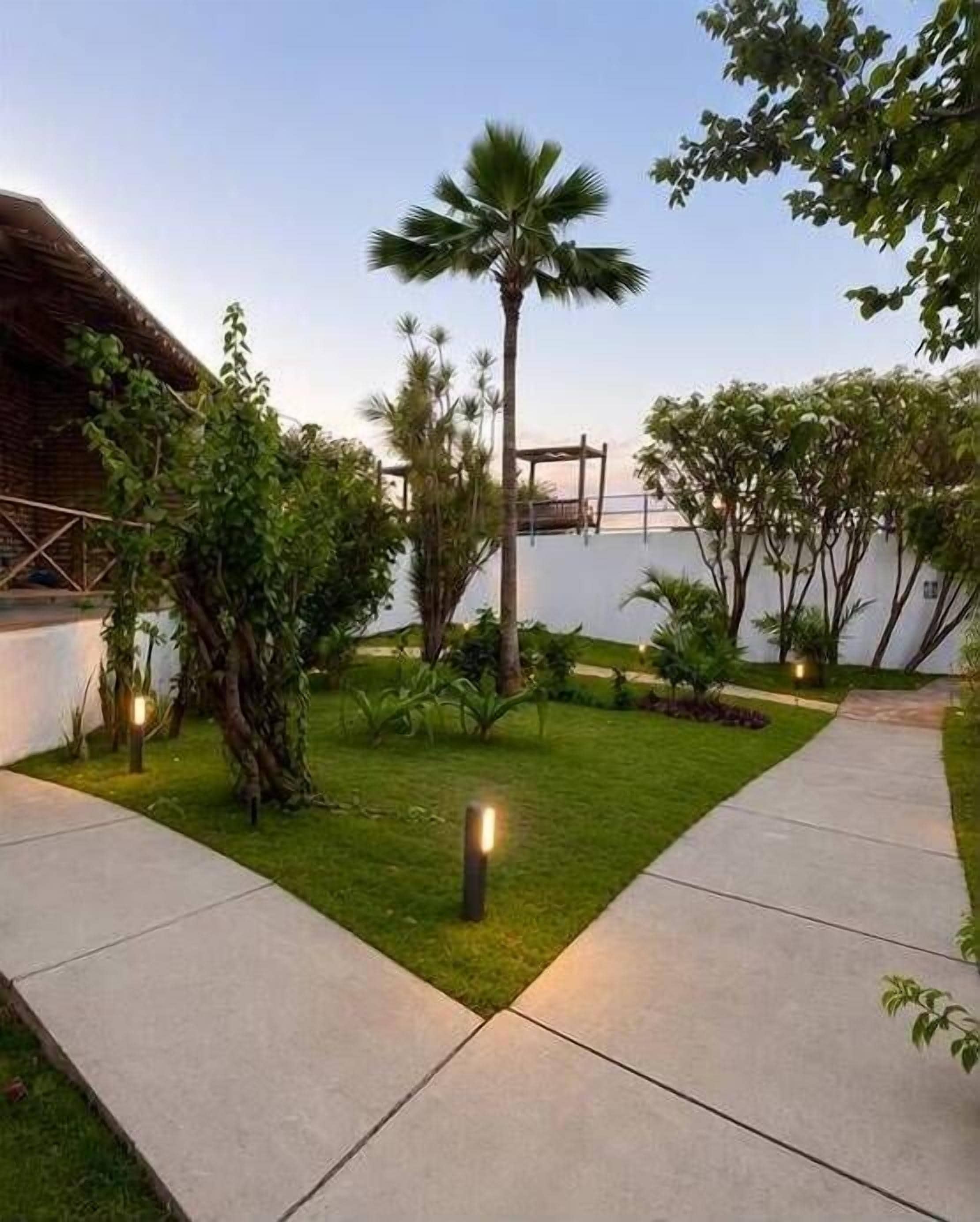 A landscaped garden with a palm tree, a concrete pathway, and a building with a sloped roof.