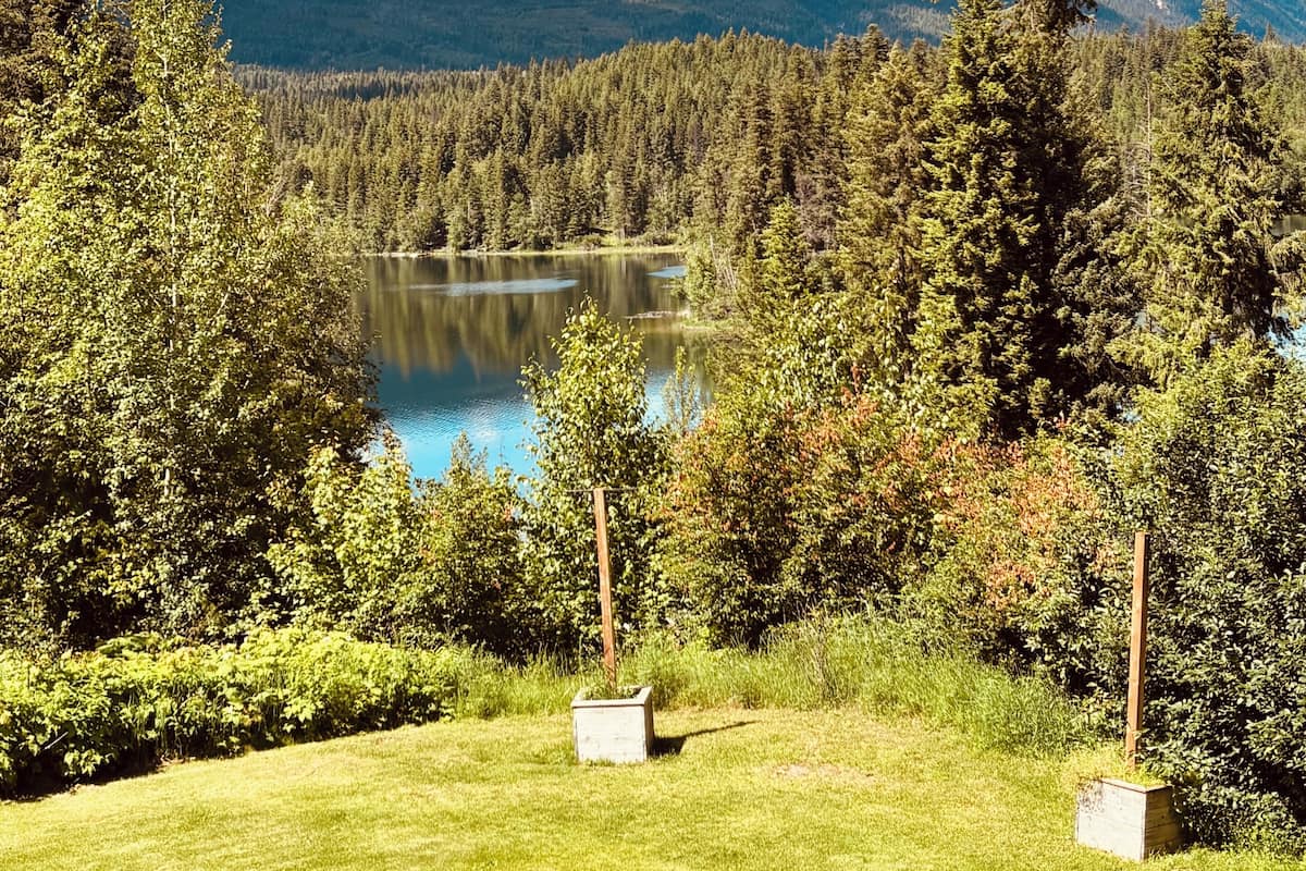 En sjö omgiven av tät skog och berg under en klar himmel.