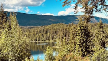 Ein See, umgeben von dichtem Wald und Bergen unter wolkenlosem Himmel.