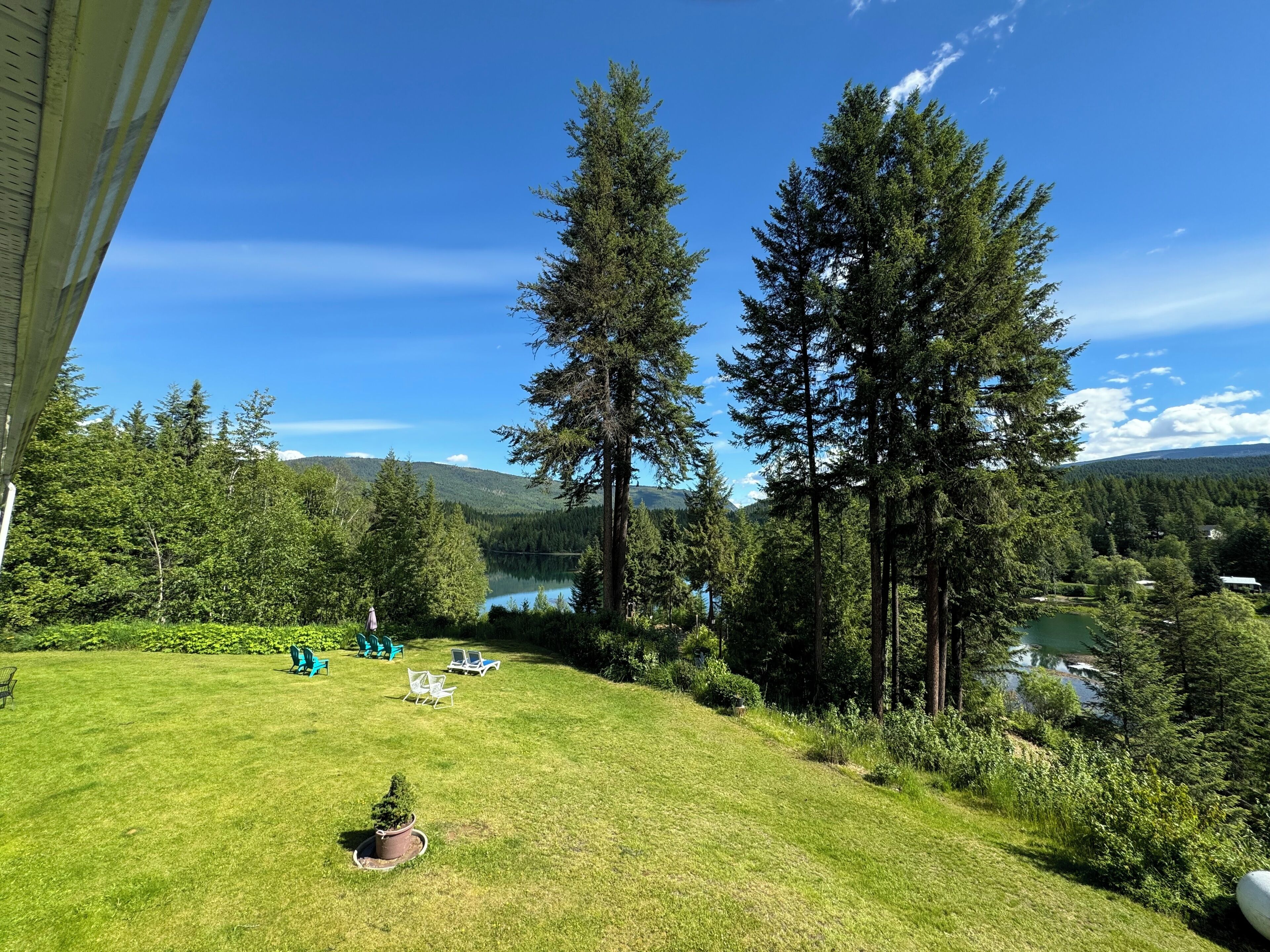 A grassy backyard with a lake, trees, and a clear blue sky.
