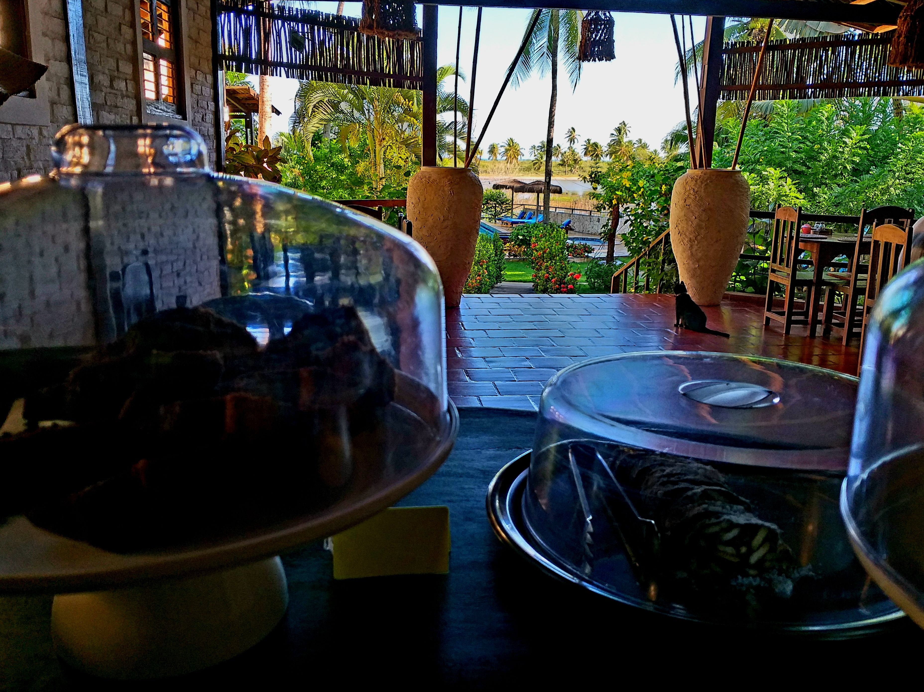 Un restaurant avec vue sur une piscine et des palmiers. De grands pots sont disposés sur les tables.