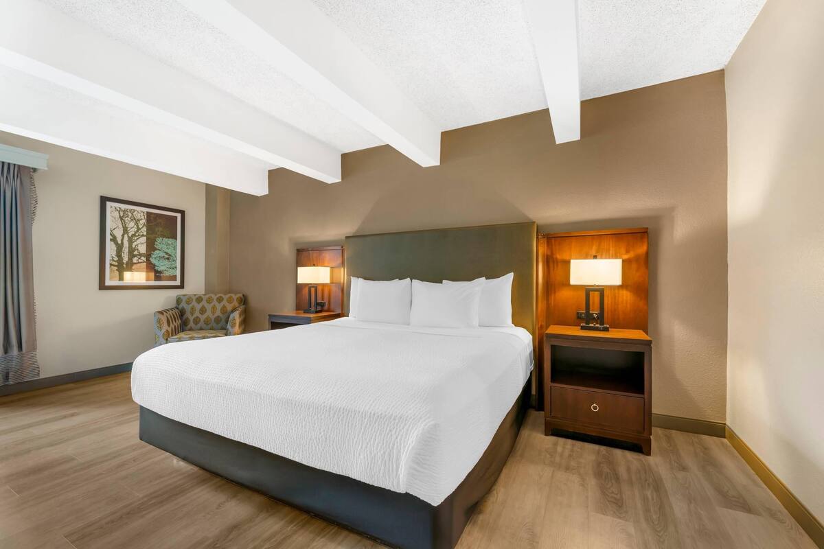 Suite, 1 kingsize bed met slaapbank, niet-roken | Een bureau, een strijkplank/strijkijzer, gratis extra bedden