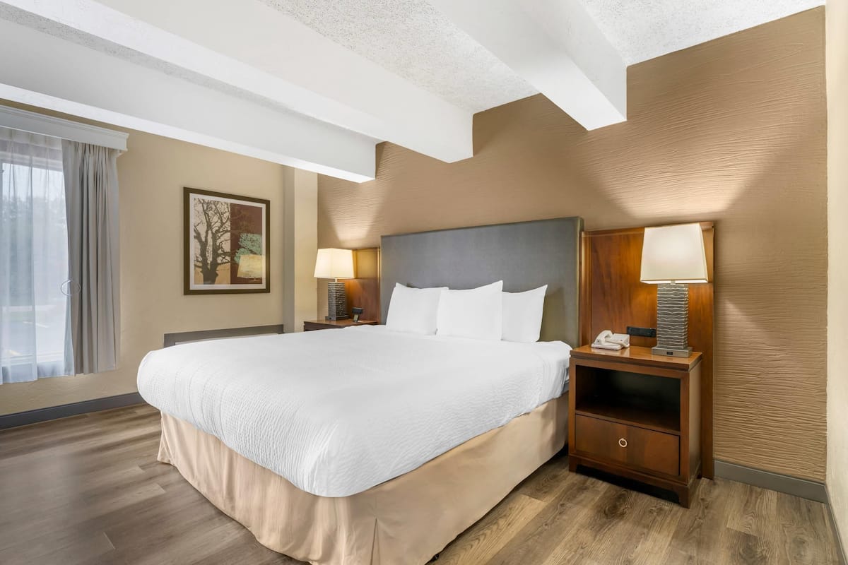 Desk, iron/ironing board, free rollaway beds, free WiFi