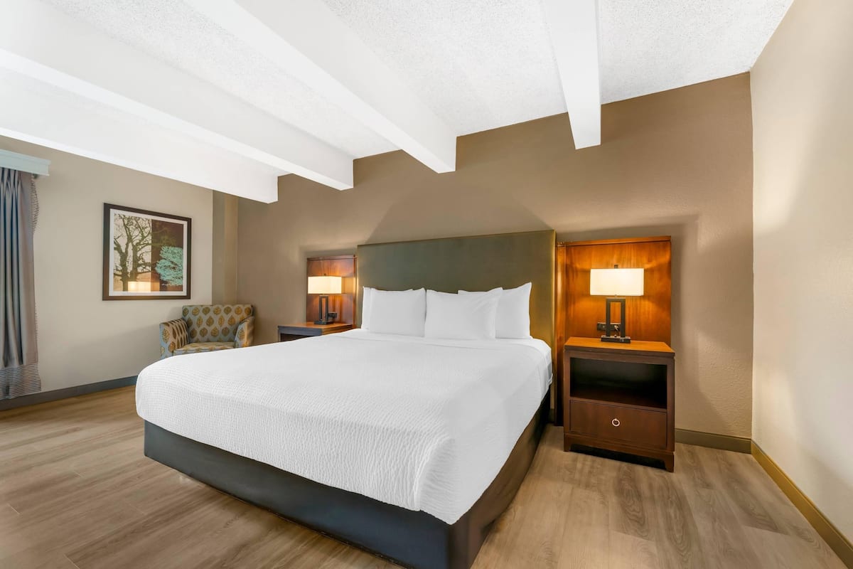 Suite, 1 King Bed with Sofa bed, Non Smoking | Desk, iron/ironing board, free rollaway beds, free WiFi