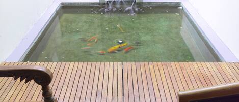 A rectangular water feature with a wooden bench and a stone wall.