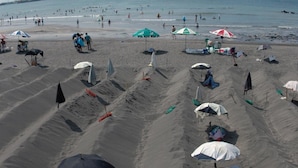 A beach with rows of umbrellas and beach chairs, a sandy shore, and the ocean in the background.