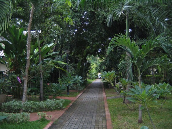 Giardino