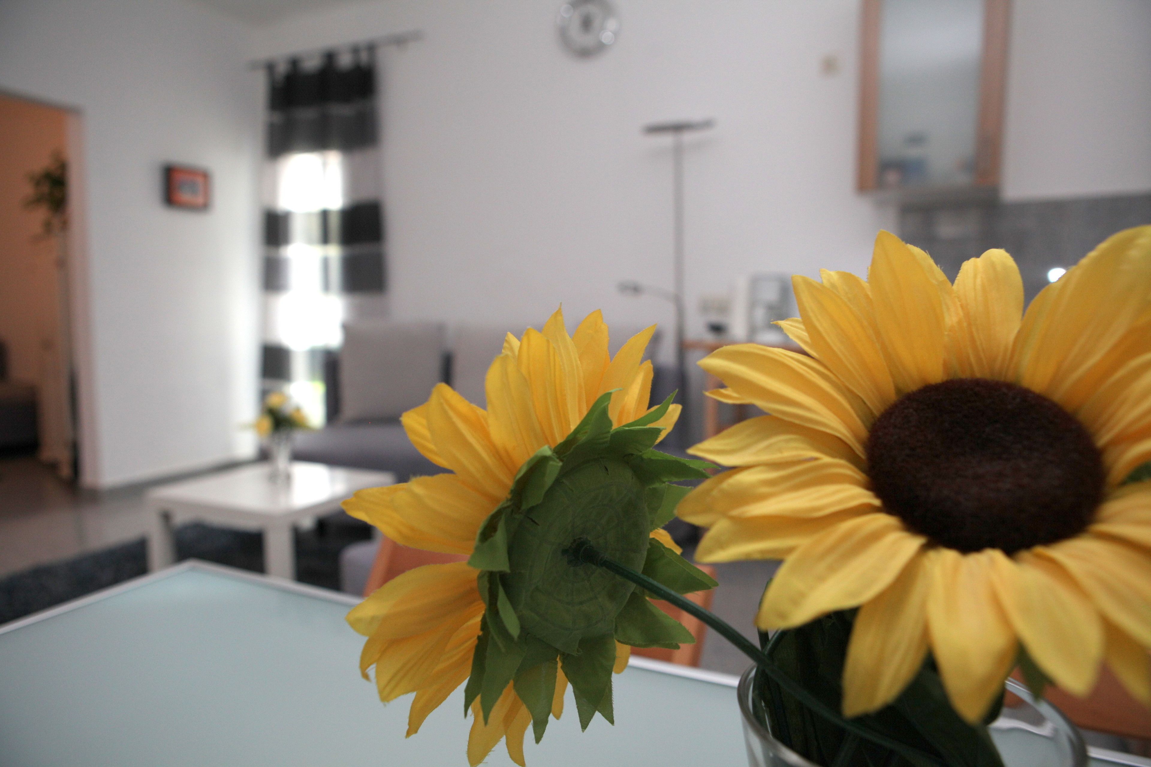 Ein Zimmer im modernen Stil, mit einem Glastisch und einer Vase mit Sonnenblumen.