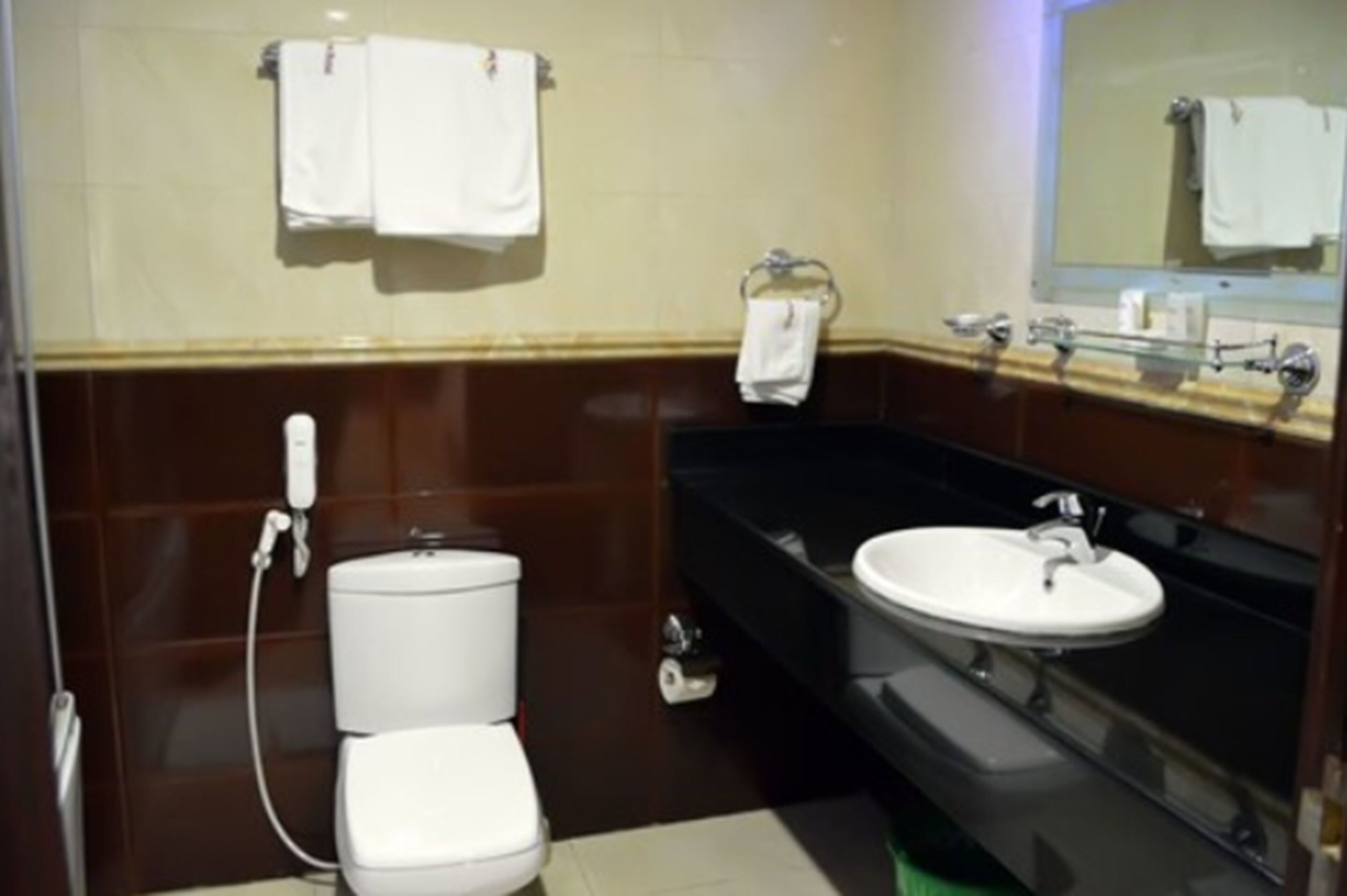 A bathroom with a white toilet, a sink, and a mirror. There are towels hanging on the wall.