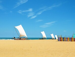 A beach with several sailboats anchored in the sand. - C Negombo (Negombo)