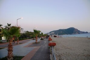 Une promenade en bord de mer bordée de palmiers, avec un sentier pavé et une plage dont le paysage est dominé par une montagne en arrière-plan.
