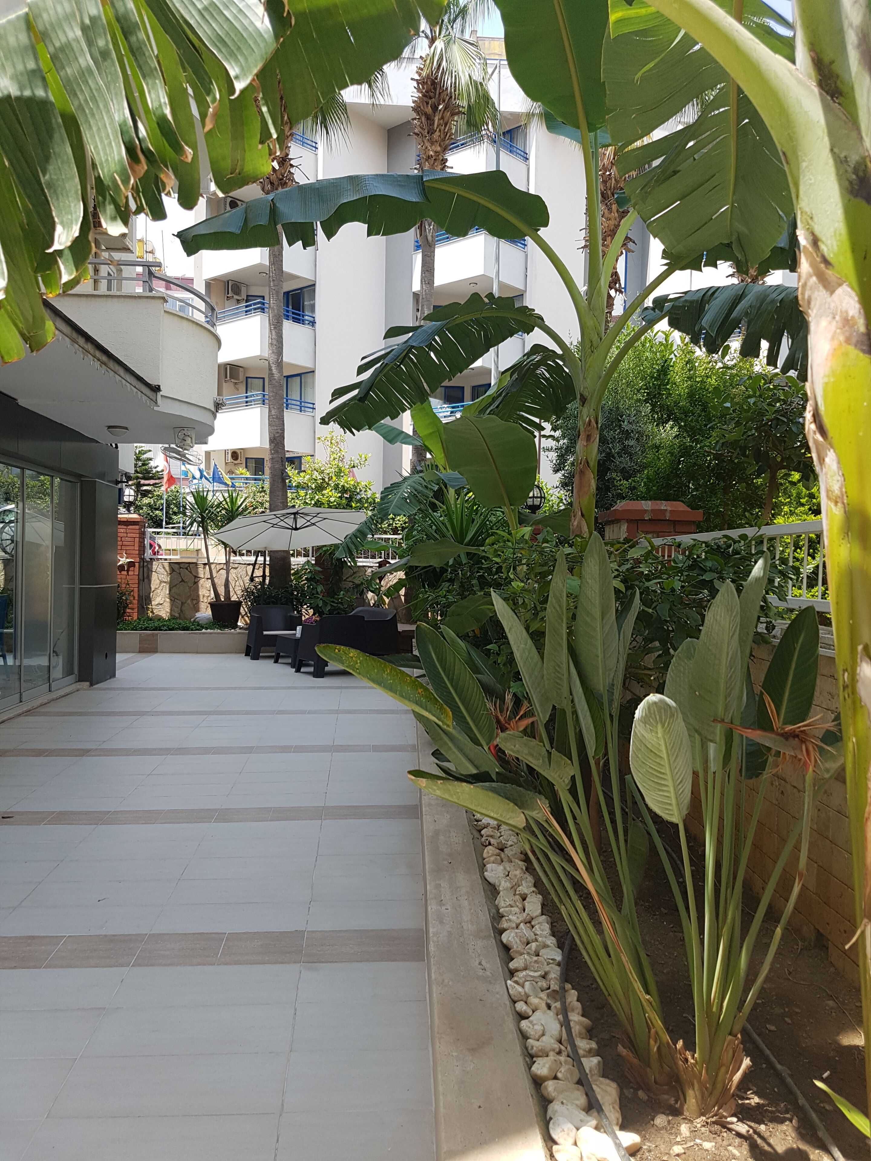 Standard Room, Non Smoking, Kitchenette | 1 bedroom, desk, iron/ironing board, cribs/infant beds