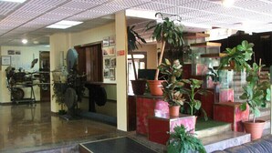 Un hall d’entrée avec un plafond carrelé, un comptoir de réception et de nombreuses plantes en pot.