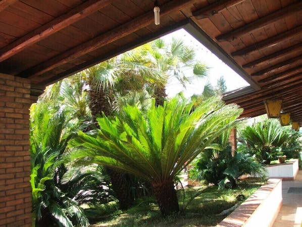 Garden - Grand Hotel Pavone (Cassino)