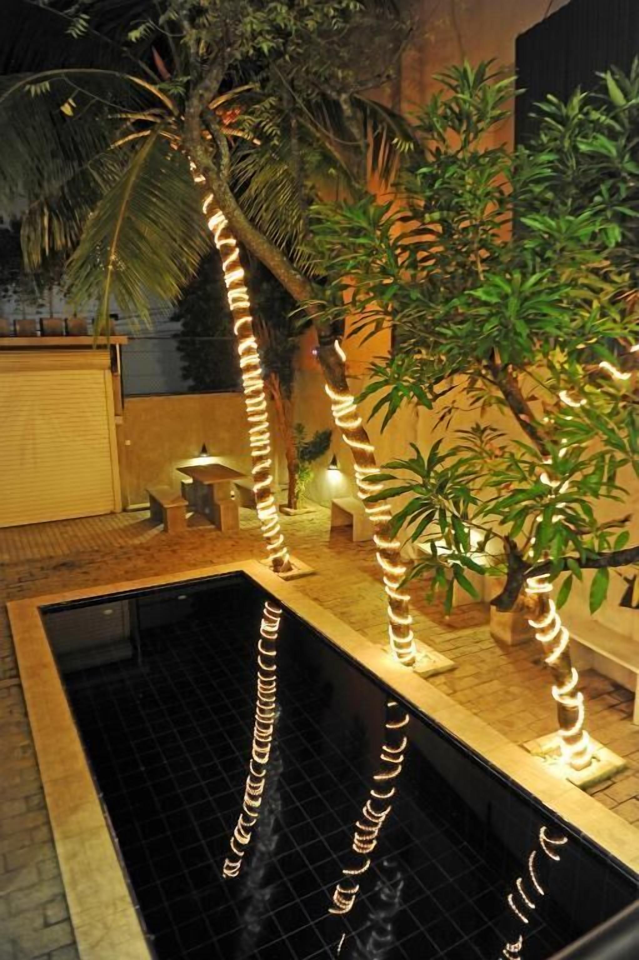 A swimming pool with decorative lights, palm trees, and potted plants.