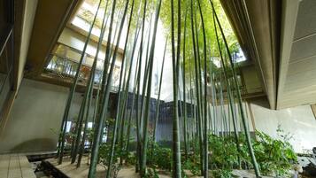 A bamboo forest with a waterfall and a view of the sky.