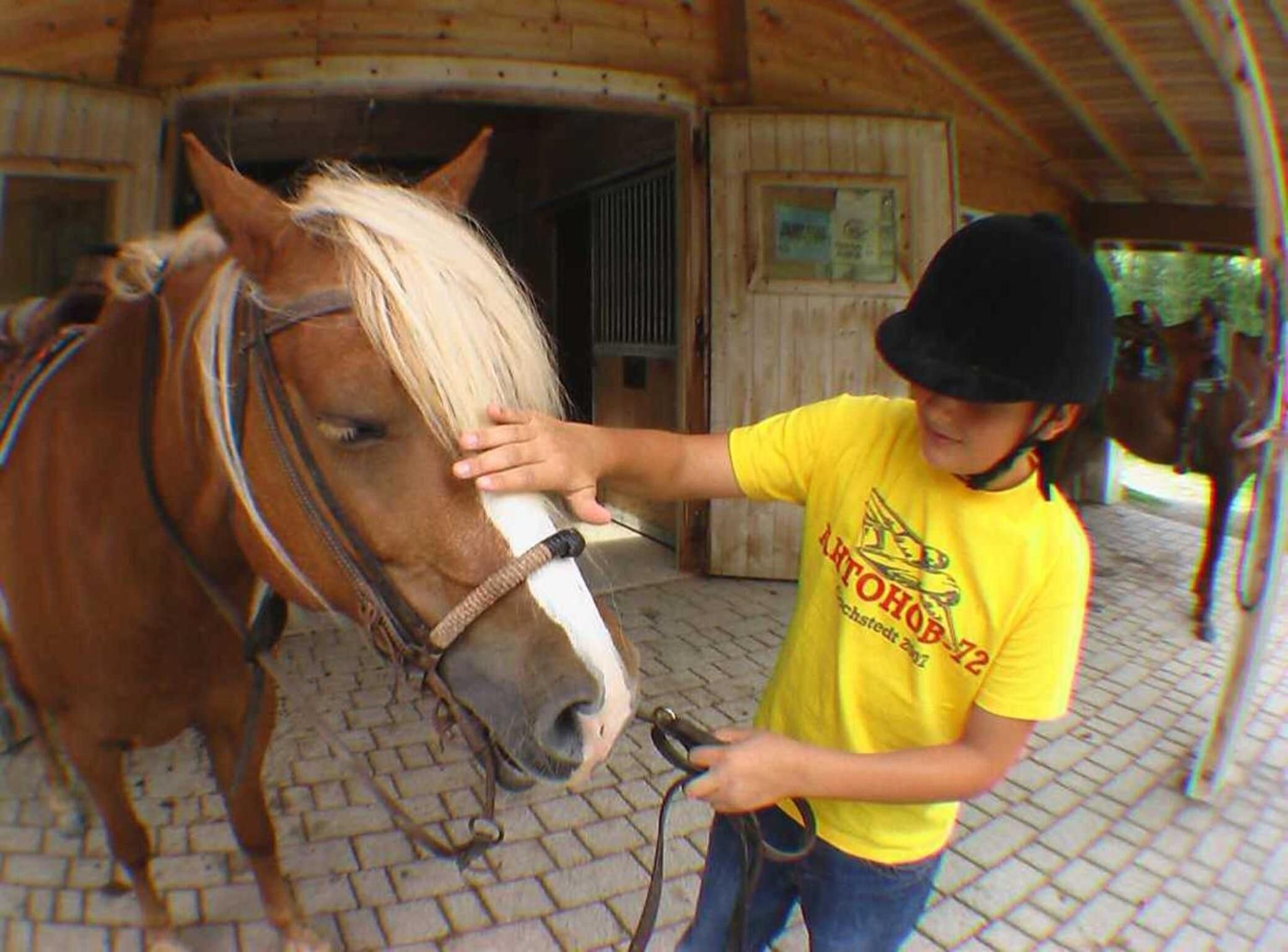 Een persoon in een geel shirt aait een paard in een stal met houten wanden en een stenen vloer.