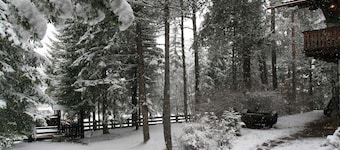 B&B Villa Dolomites Hut