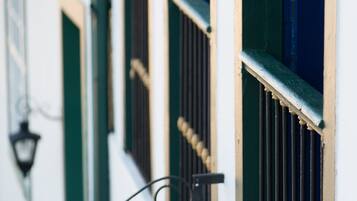 A close-up of a building facade with green shutters and a metal gate.
