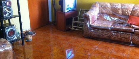 Una sala de estar con un sofá, un televisor y una estantería con diversos objetos.