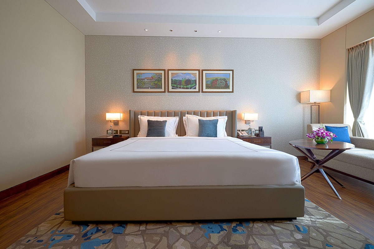 premium room, 1 king bed | minibar, in-room safe, desk, blackout curtains