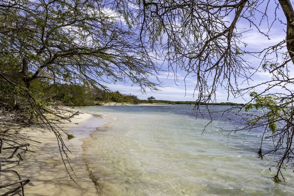 A beach with clear water, sandy shore, and trees. - Sava Salinas (Bani)