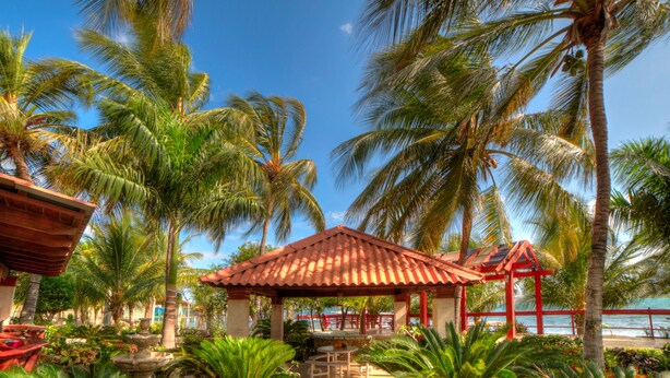 Un jardín tropical con un pabellón, palmeras y vista al océano.