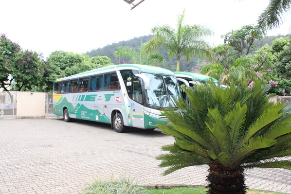 Un autobús estacionado en un área pavimentada, con una palmera al frente.