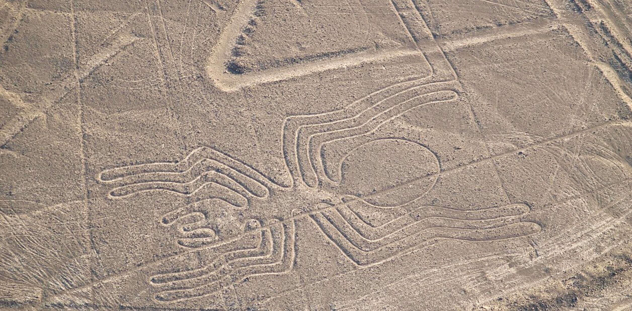 Un grand motif géométrique complexe, gravé dans le sol, qui pourrait être une forme d’art ancien ou une expression culturelle.