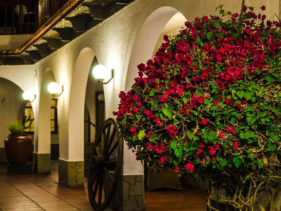 Detalle del interior