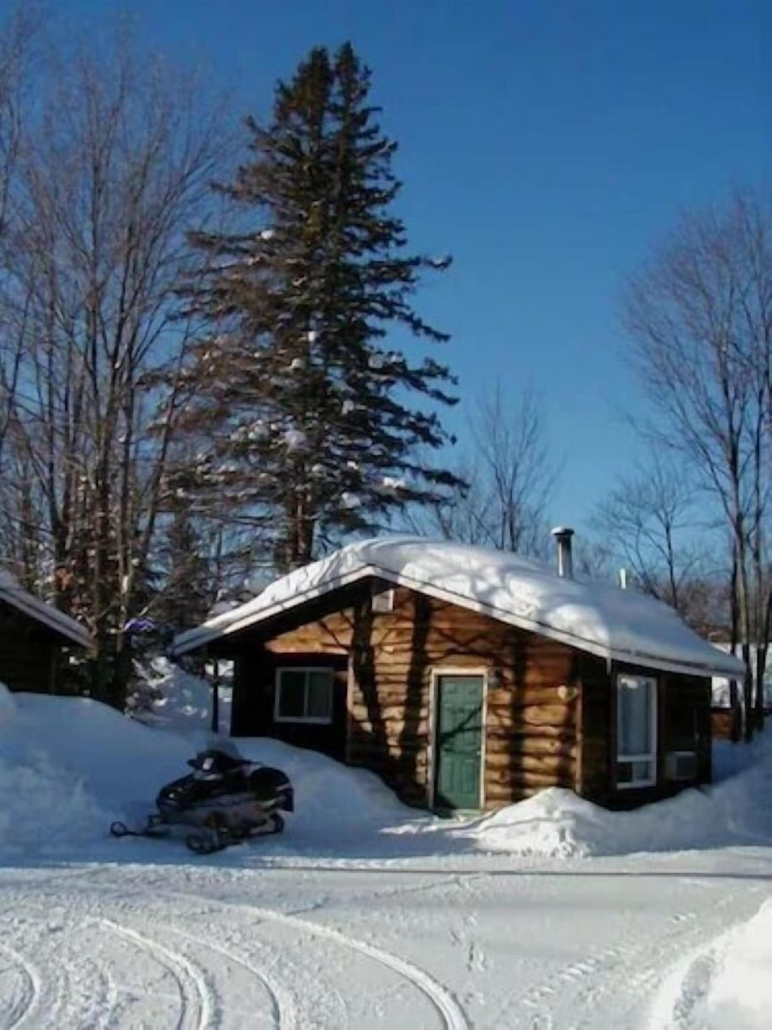 A log cabin with a green door, surrounded by snow and trees.