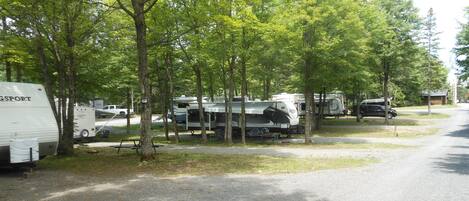 A campground with RVs and tents, trees, and a paved road.