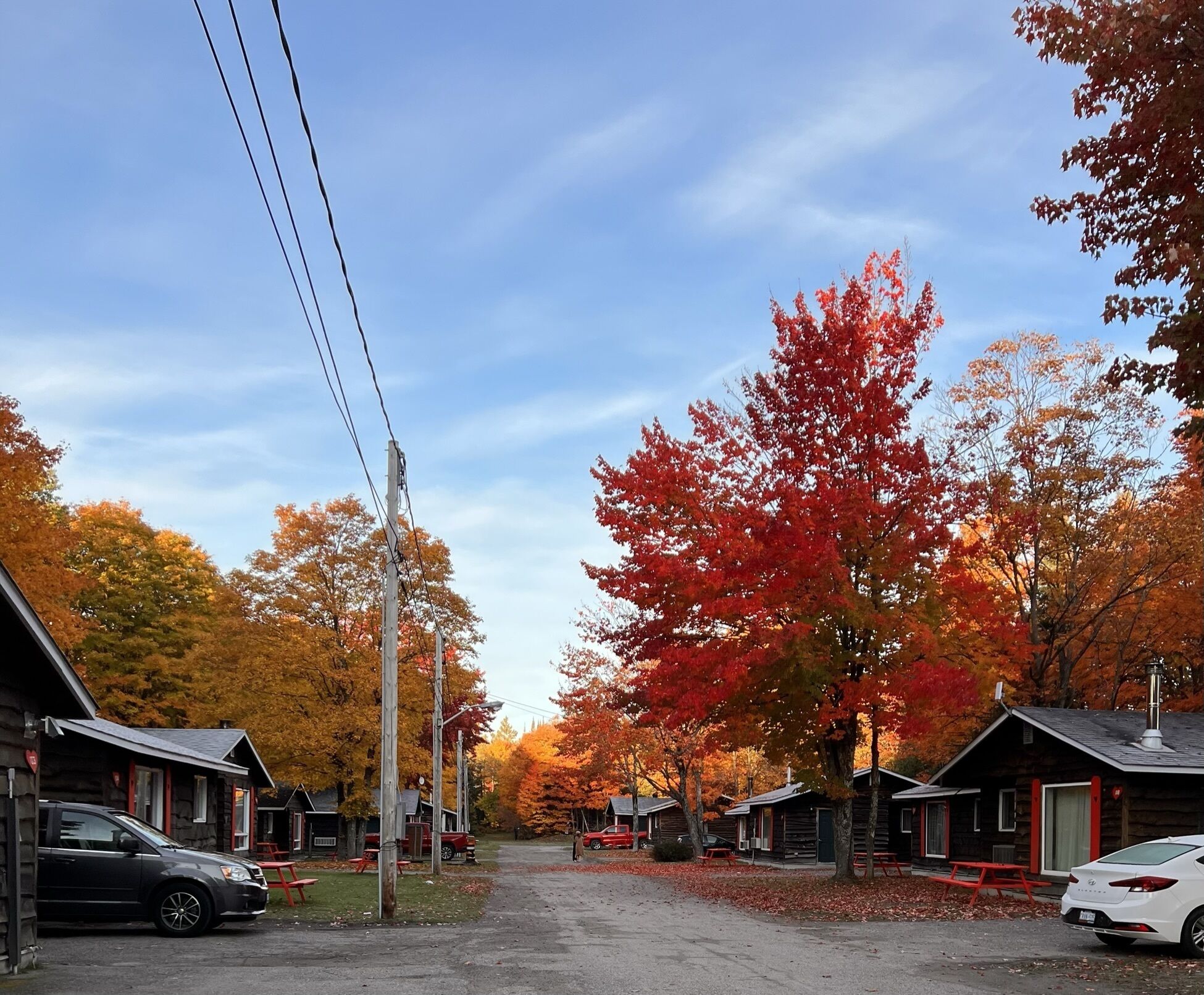 Une rangée de cabanes rustiques, séparées par un chemin de terre, et entourées d’un paysage automnal aux couleurs flamboyantes.