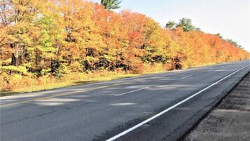 A road with autumn foliage on both sides.