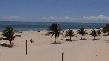 A beach with palm trees and a clear sky.