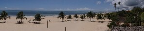 A beach with palm trees and a clear sky. - Pousada Vivenda da Terra (São Miguel do Gostoso)