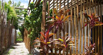 Pousada Casa da Mata