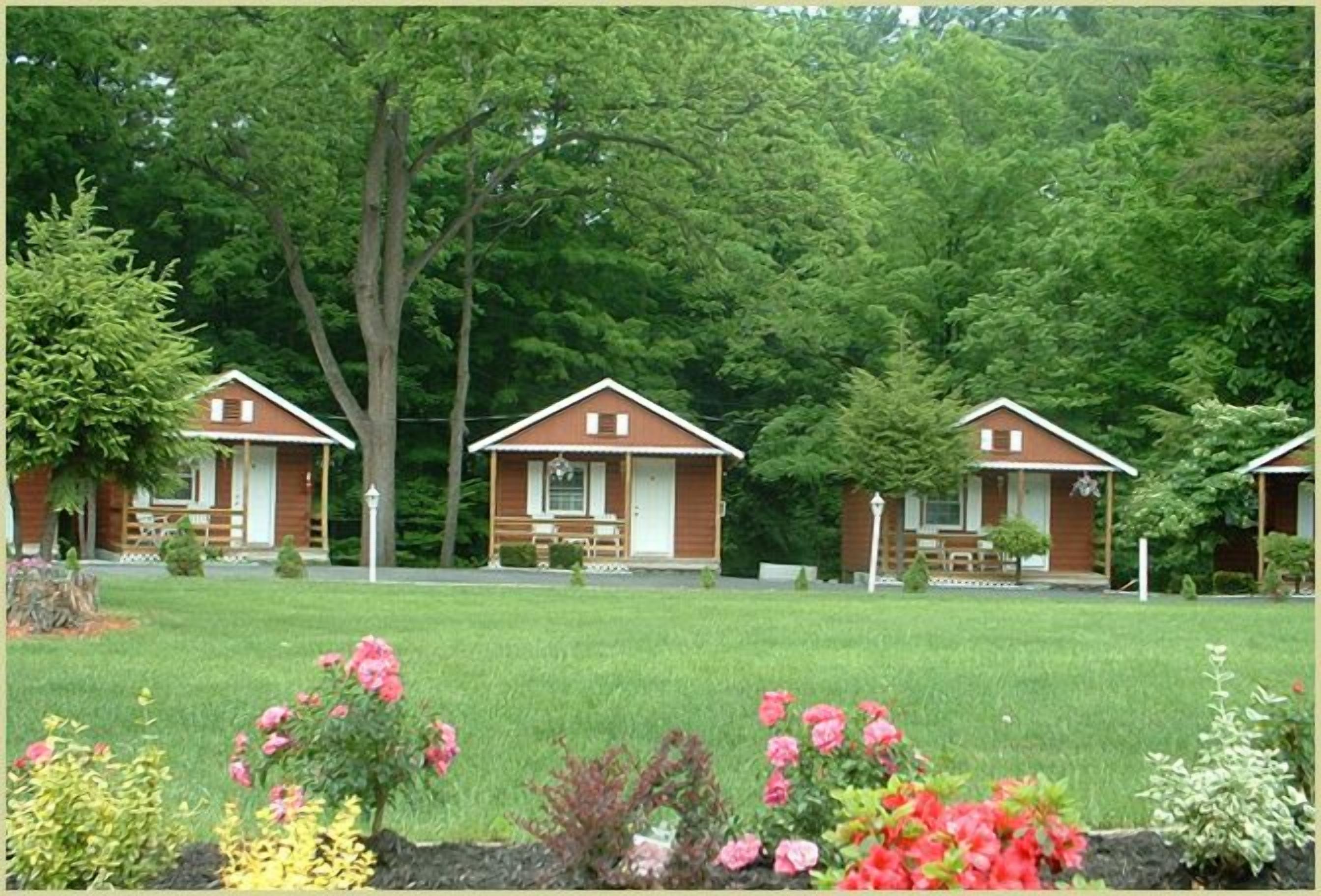 Foto - Seven Dwarfs Motel & Cabins